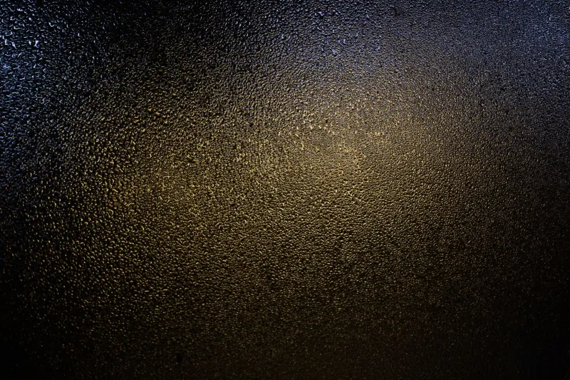 The Hygiene Paradox of Hot Showers: What Your Bathroom's Steam Environment Is Actually Doing to You