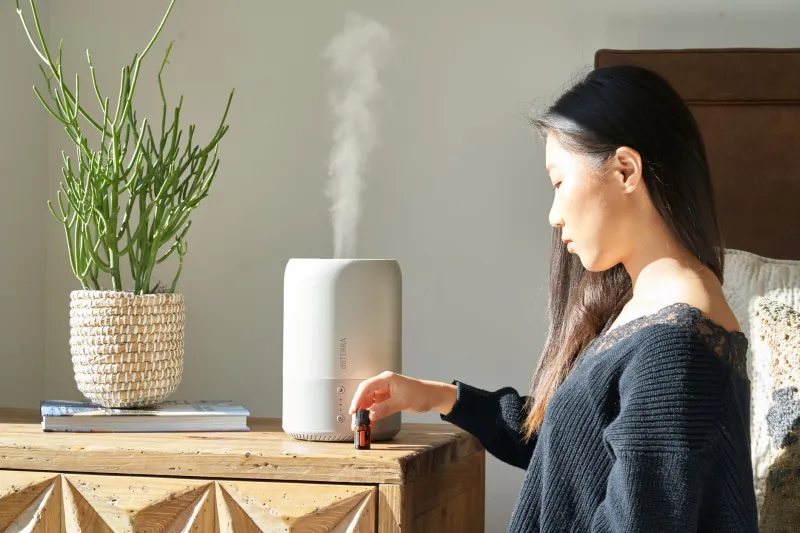 Winter's Hidden Hazard: When Your Humidifier Becomes a Source of Indoor Contamination